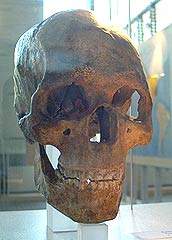 Combe-Capelle (35.000 a&ntilde;os aprox)