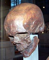 Cro-Magnon (33.000 a&ntilde;os aprox.)